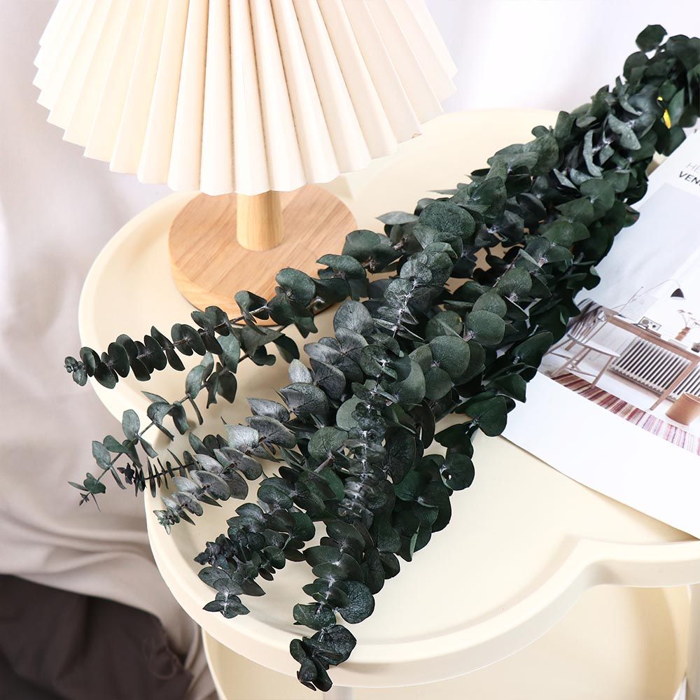 Eucalyptus Preserved - 10 Pcs Real Leaves Hanging Dried