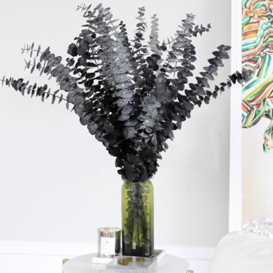 Eucalyptus Preserved - 15pcs Real Black Eucalyptus Stems -