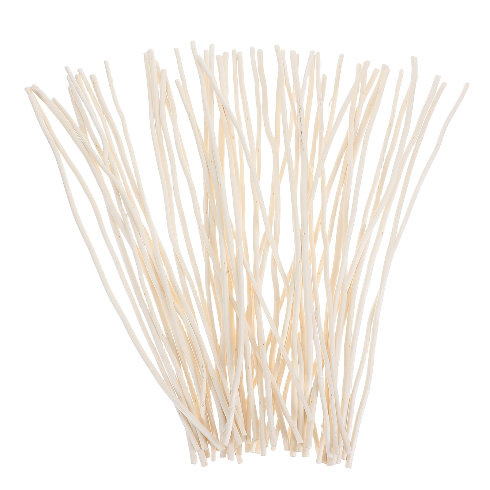 50Pcs Dried Dragon Willow Bran - đánh giá và giá Branch Curly Willow