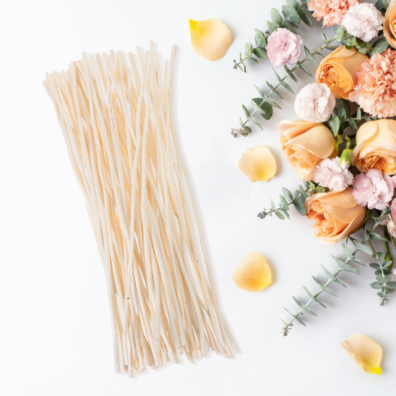 50Pcs Dried Dragon Willow Bran - đánh giá và giá Branch Curly Willow