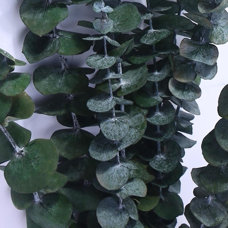 20Pcs Preserved for Fresh Euca - đánh giá và giá Eucalyptus Preserved