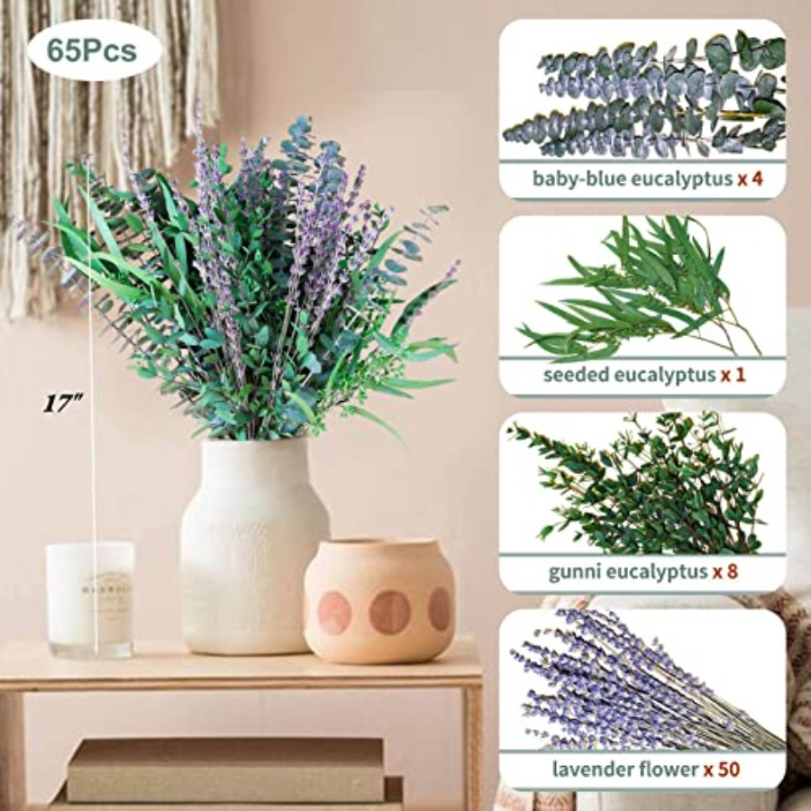 65 Pcs Mix Dried Eucalyptus St - đánh giá và giá Eucalyptus Preserved