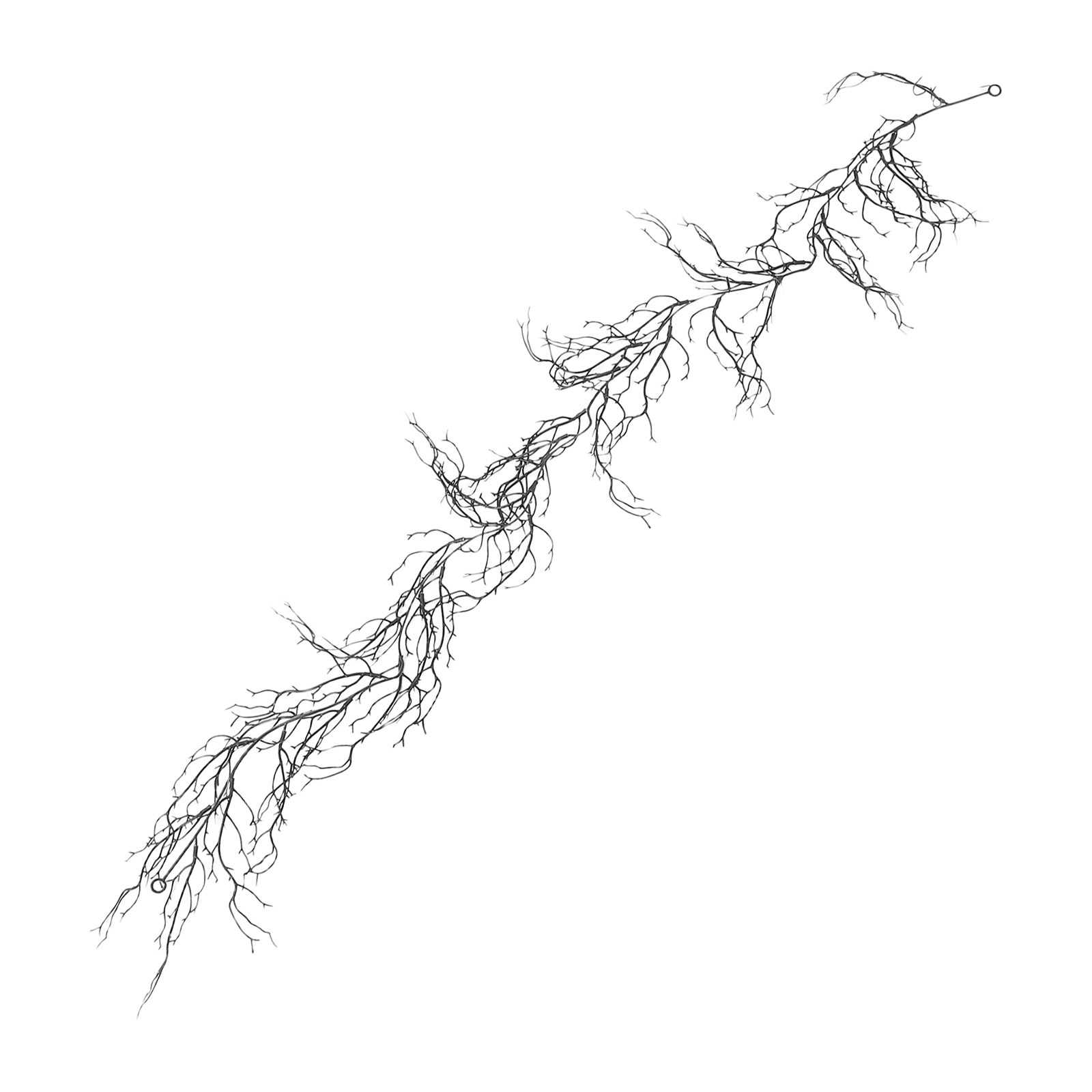 Black Curly Willow Branches Ar - đánh giá và giá Branch Curly Willow