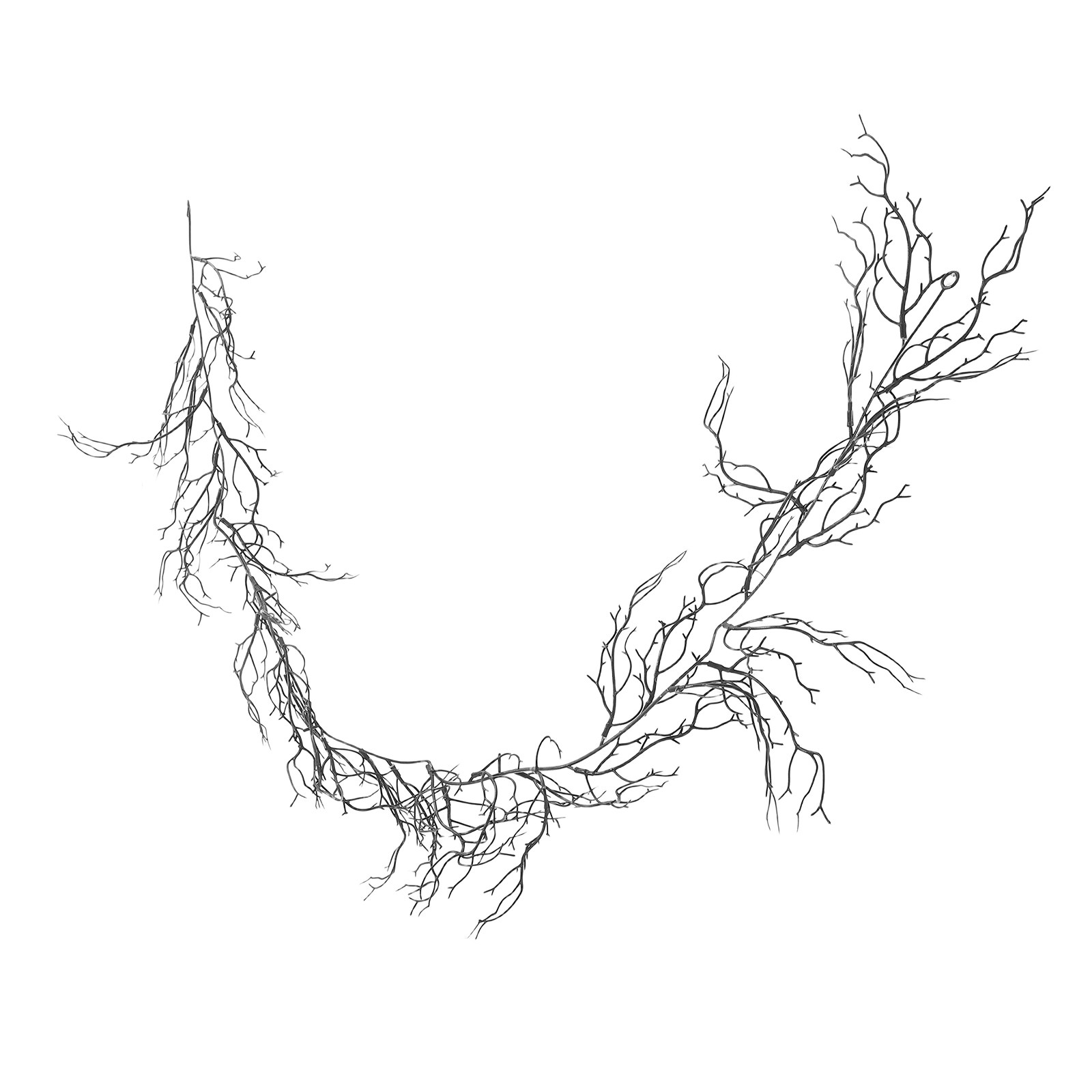 Black Curly Willow Branches Ar - đánh giá và giá Branch Curly Willow
