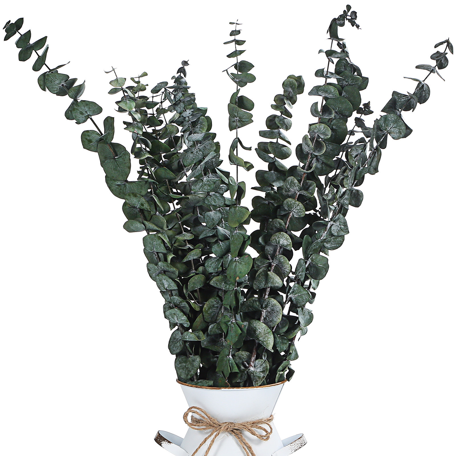 20 Pcs Eucalyptus Leaves Green - đánh giá và giá Eucalyptus Preserved