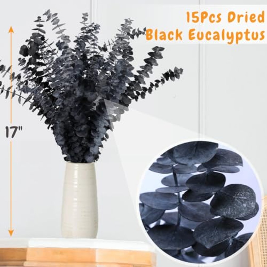 15pcs Real Black Eucalyptus St - đánh giá và giá Eucalyptus Preserved