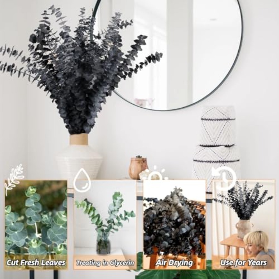 15pcs Real Black Eucalyptus St - đánh giá và giá Eucalyptus Preserved